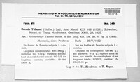 Image Associated With the Occurence
